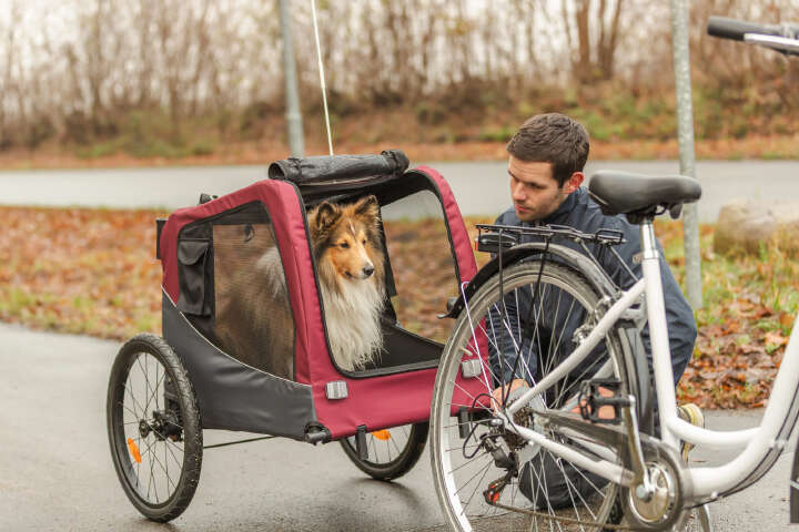 TRIXIE Fahrrad-Anhänger für Hunde